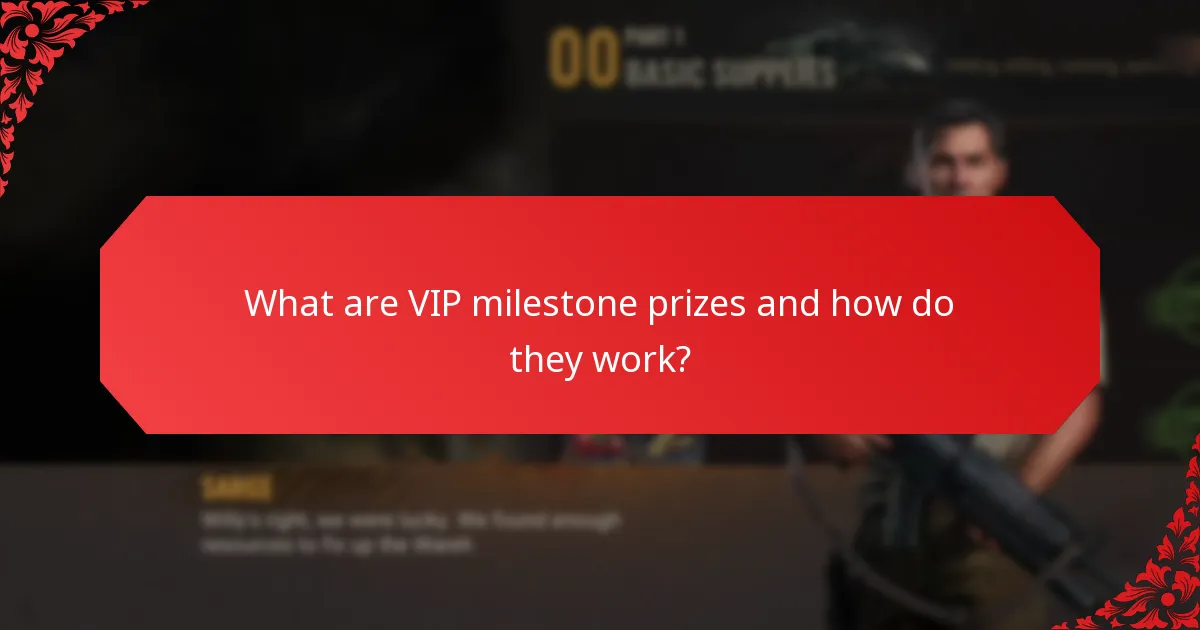 What membership benefits come with the VIP programme?